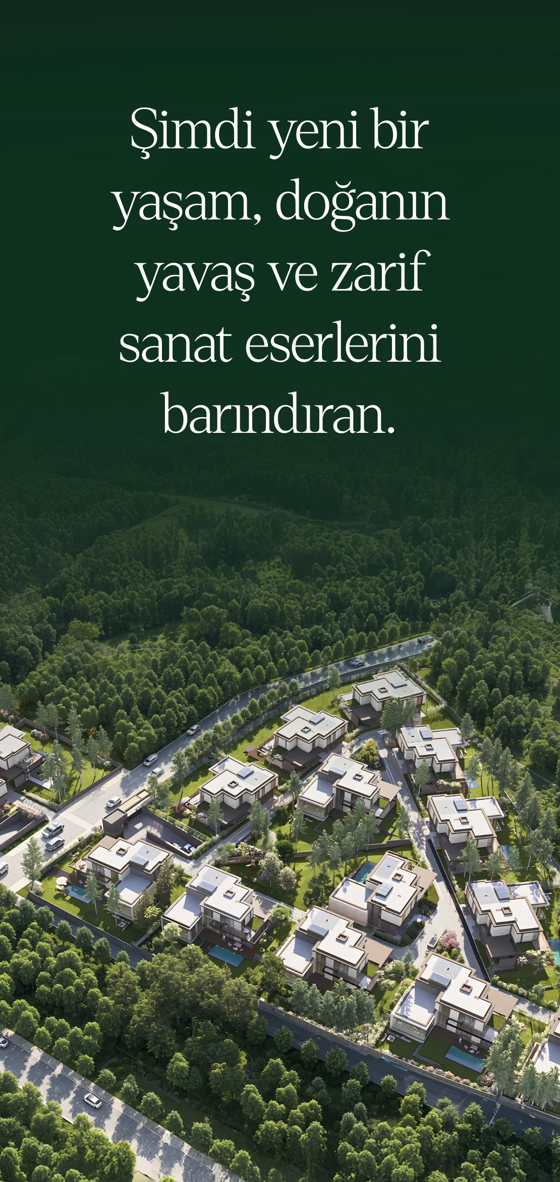 Cosa İncek